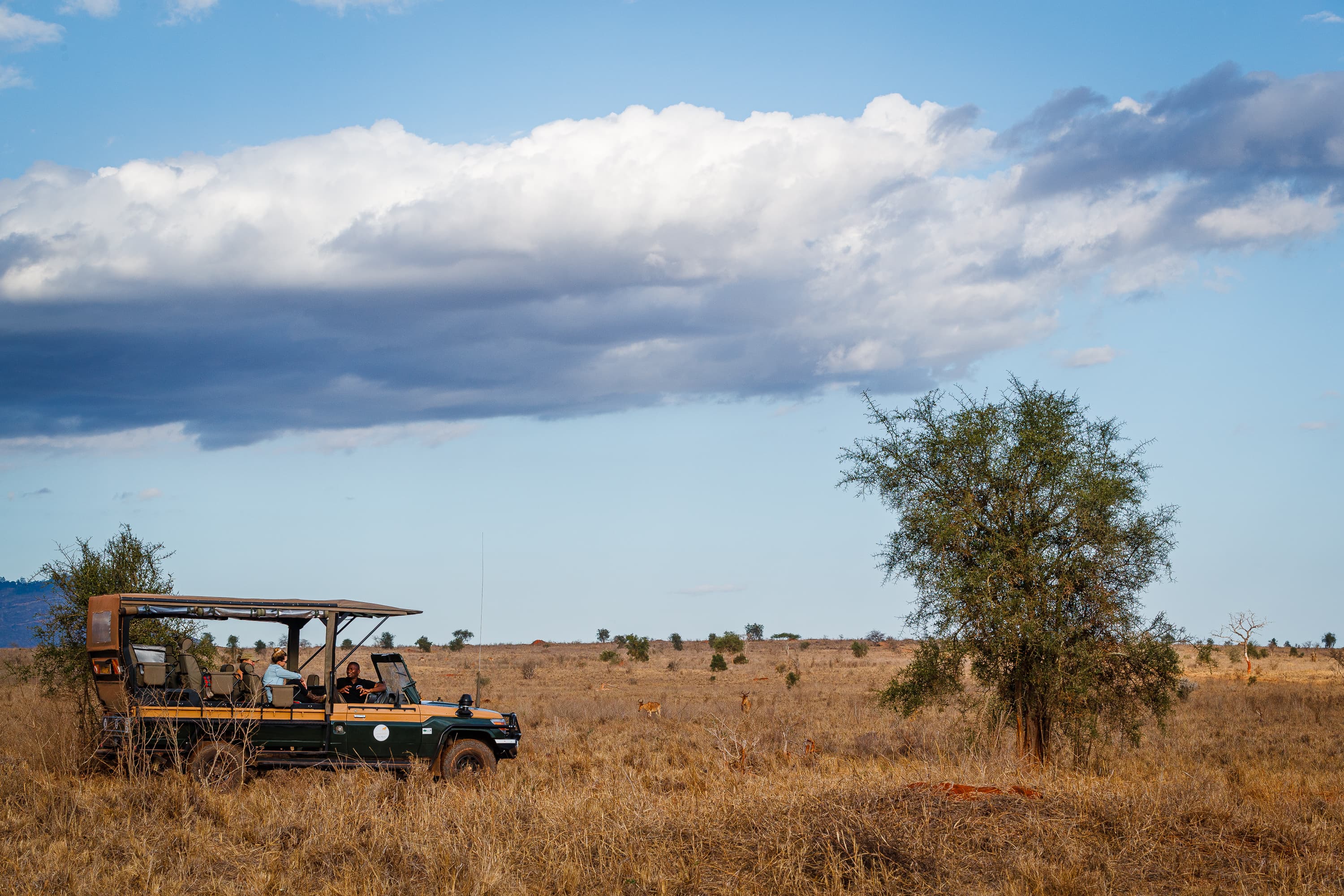 Lions Bluff - Lumo Conservancy