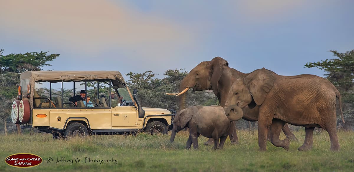 Porini Rhino Camp-Ol Pejeta Conservancy