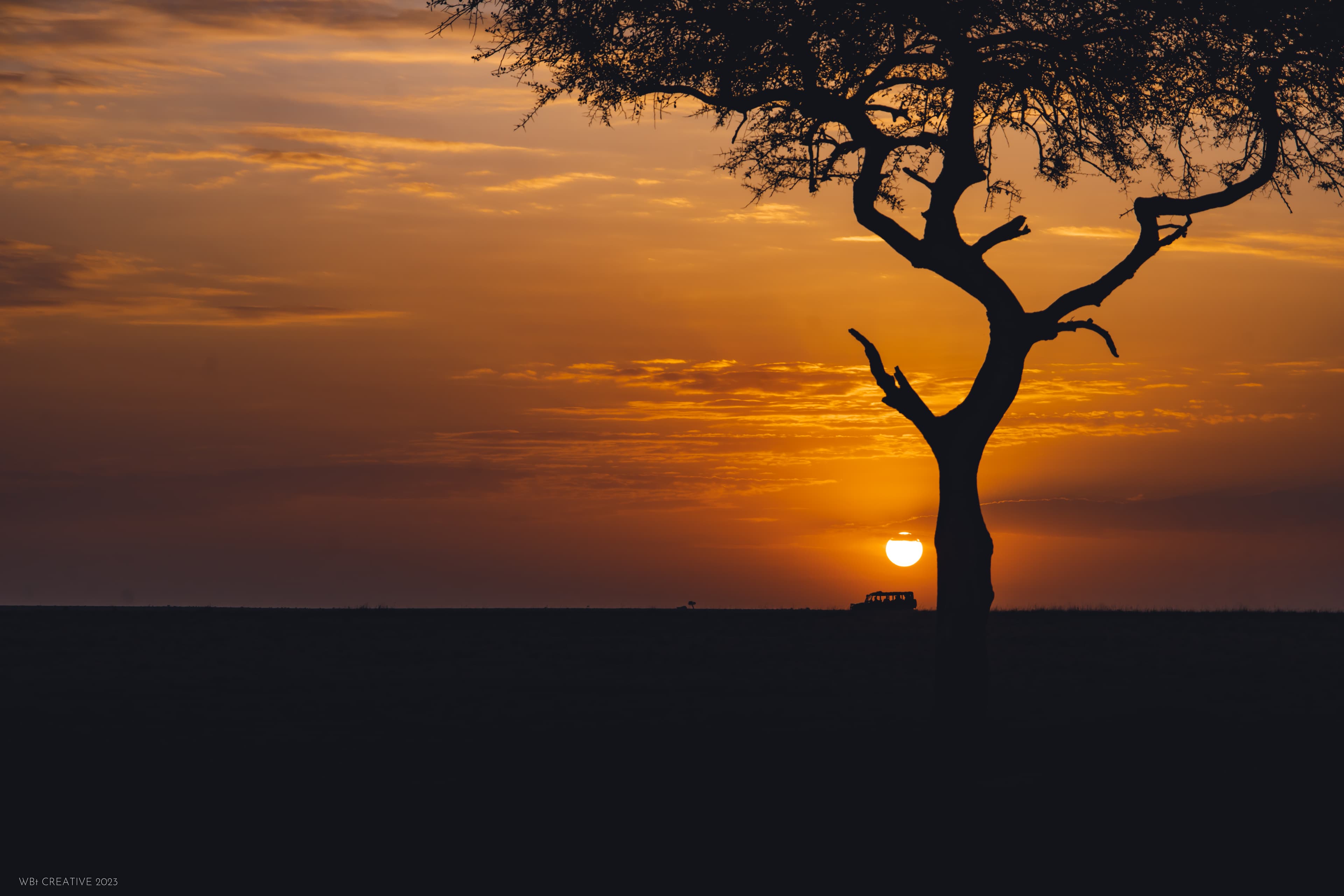 Mara Bush Camp