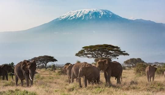 13 Days Safari Wonders of Kenya & Tanzania