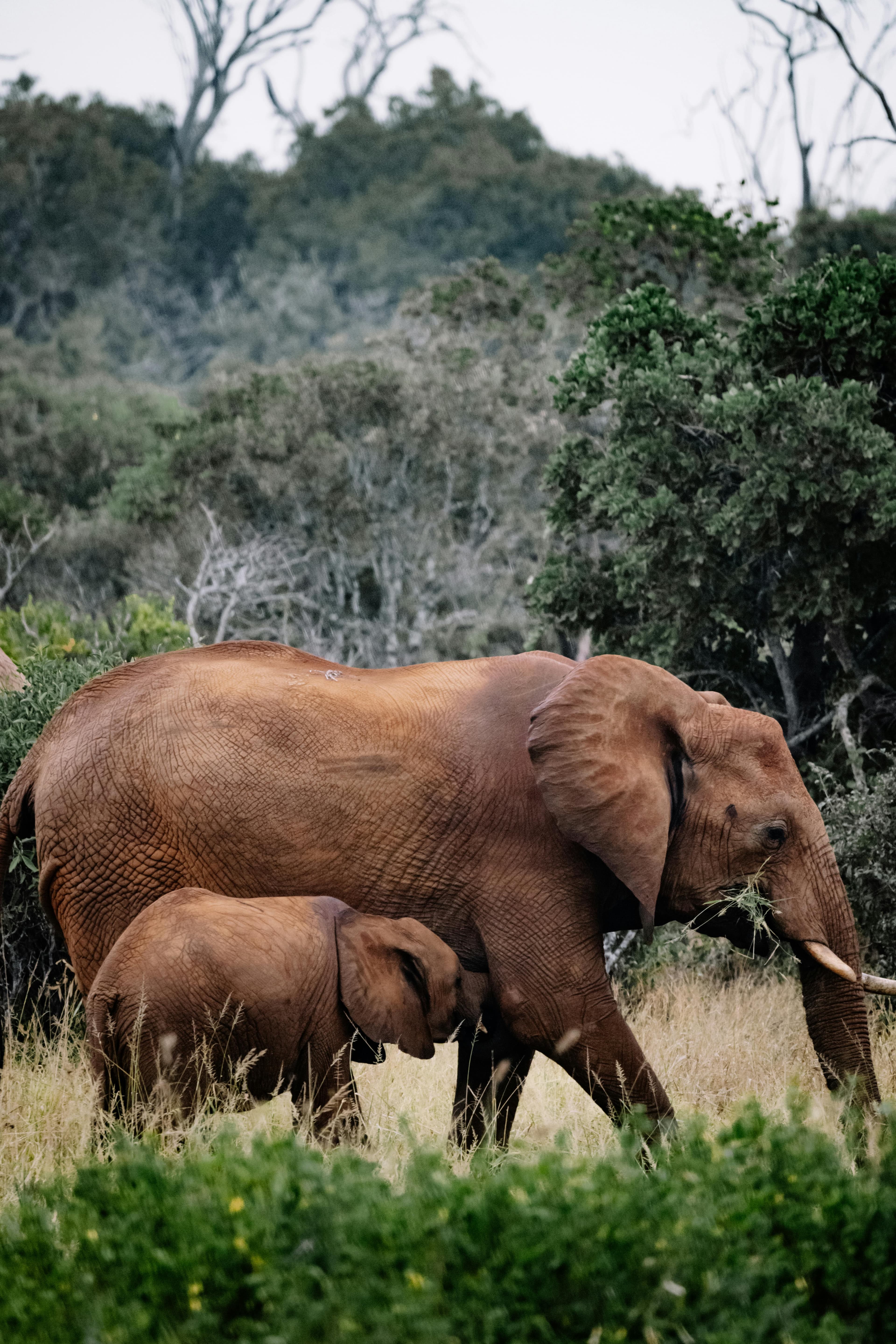 7 Days Magical Kenya Trip