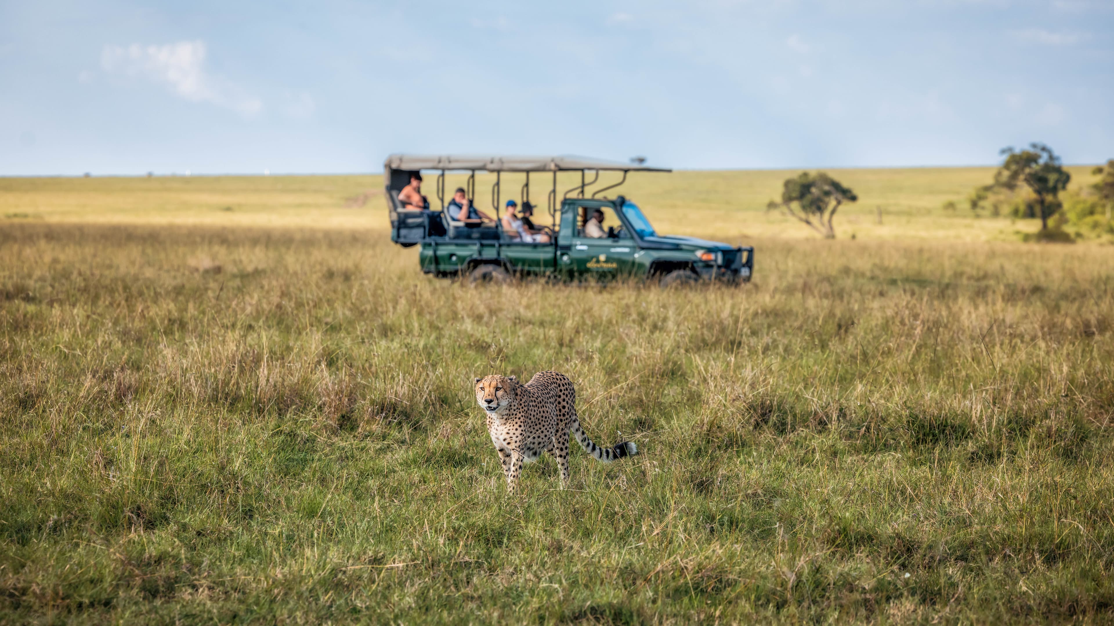 Elephant Pepper Camp -Maasai Mara 